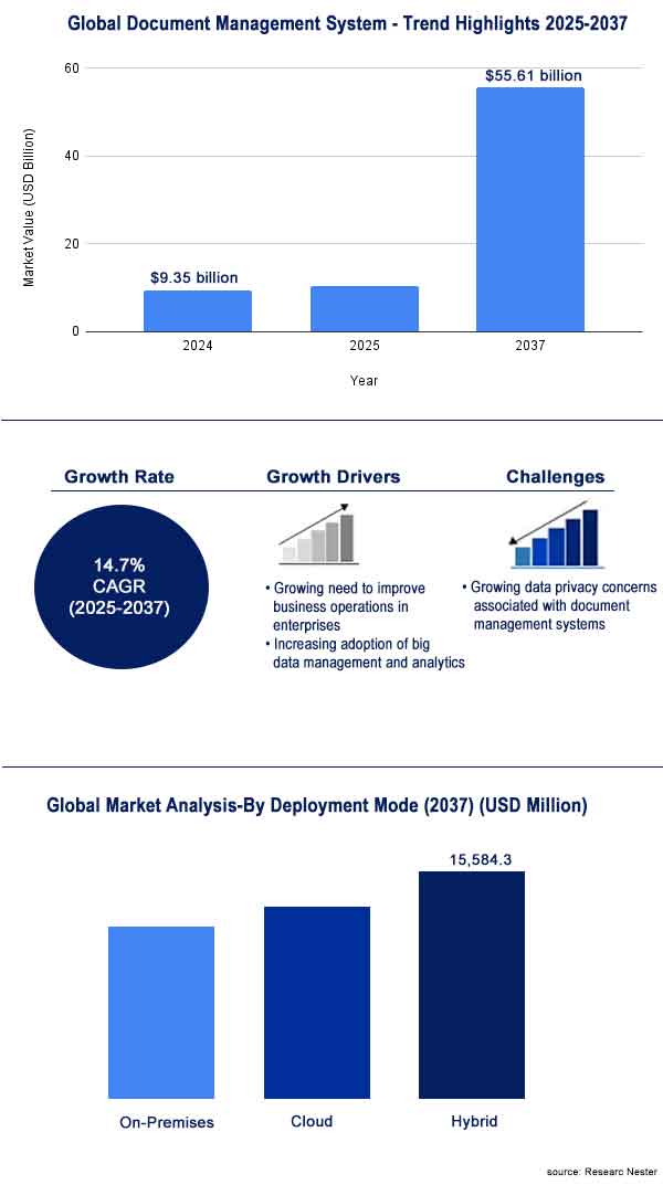 Global DMS Market Overivew 2025