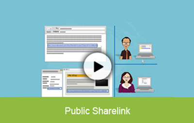 Secure File Sharing & Public Links